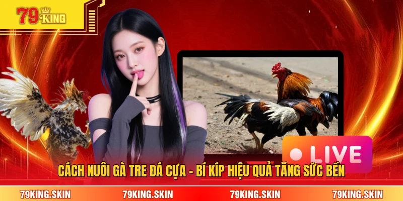 Cách Nuôi Gà Tre Đá Cựa - Bí Kíp Hiệu Quả Tăng Sức Bền