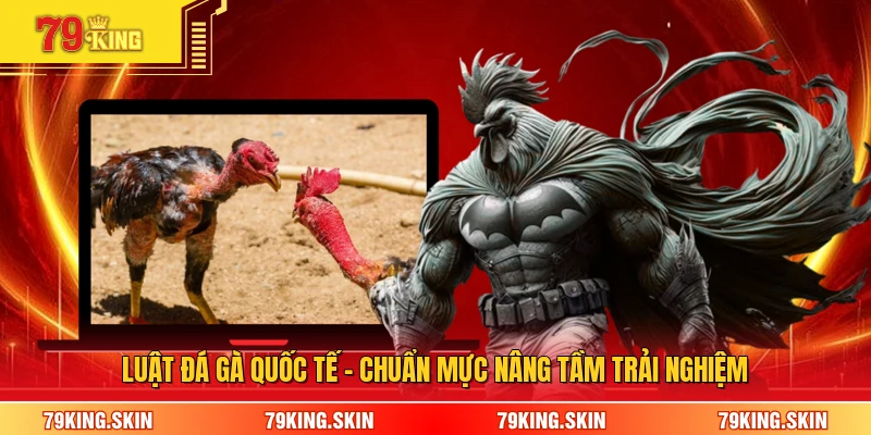 Luật Đá Gà Quốc Tế - Chuẩn Mực Nâng Tầm Trải Nghiệm