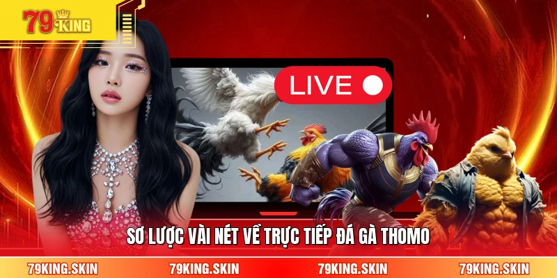 Sơ lược vài nét về trực tiếp đá gà thomo 