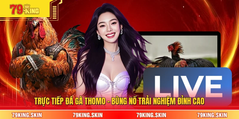 Trực Tiếp Đá Gà Thomo - Bùng Nổ Trải Nghiệm Đỉnh Cao
